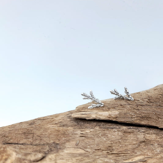 Small sterling silver cedar sprig earring studs.